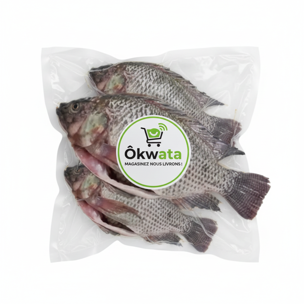 Tilapia frais